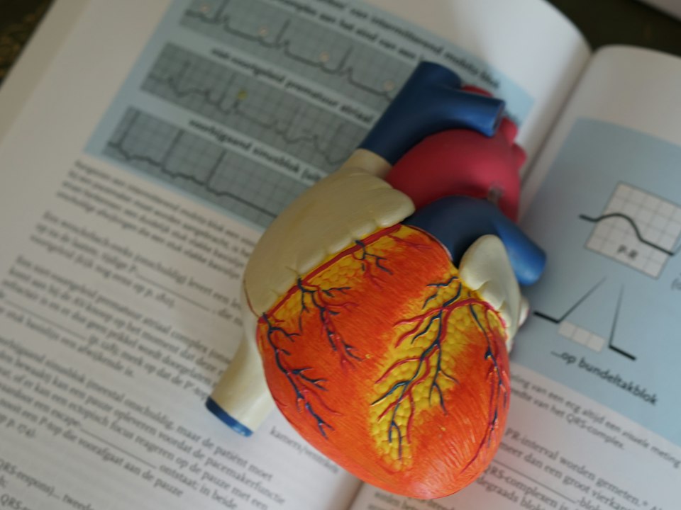 Cardio Health at Heal Primary Health